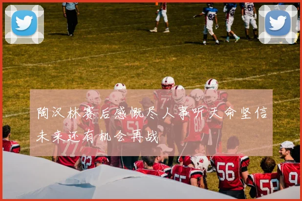 陶汉林赛后感慨尽人事听天命坚信未来还有机会再战
